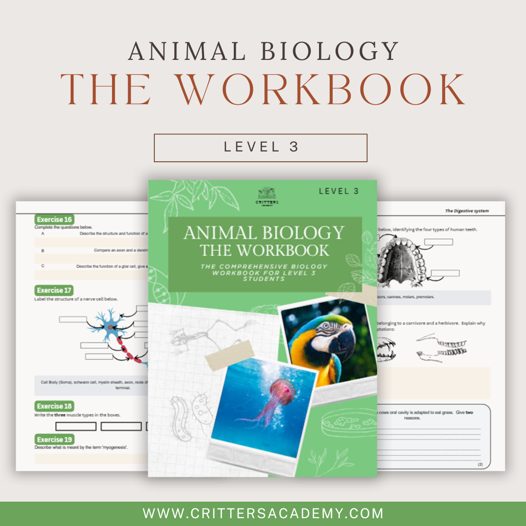 Animal Biology the Workbook - PRE ORDER NOW