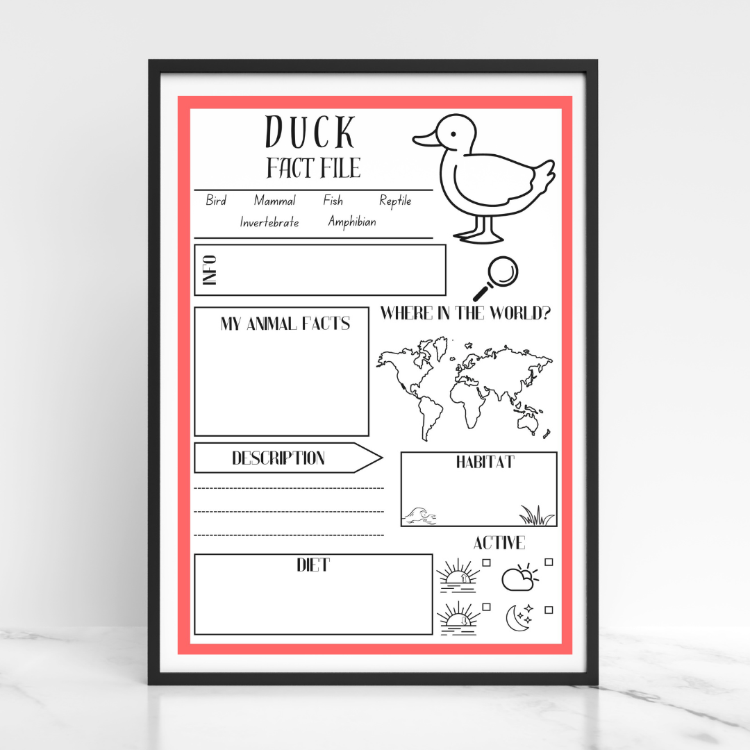 Farm animal research project poster template pack