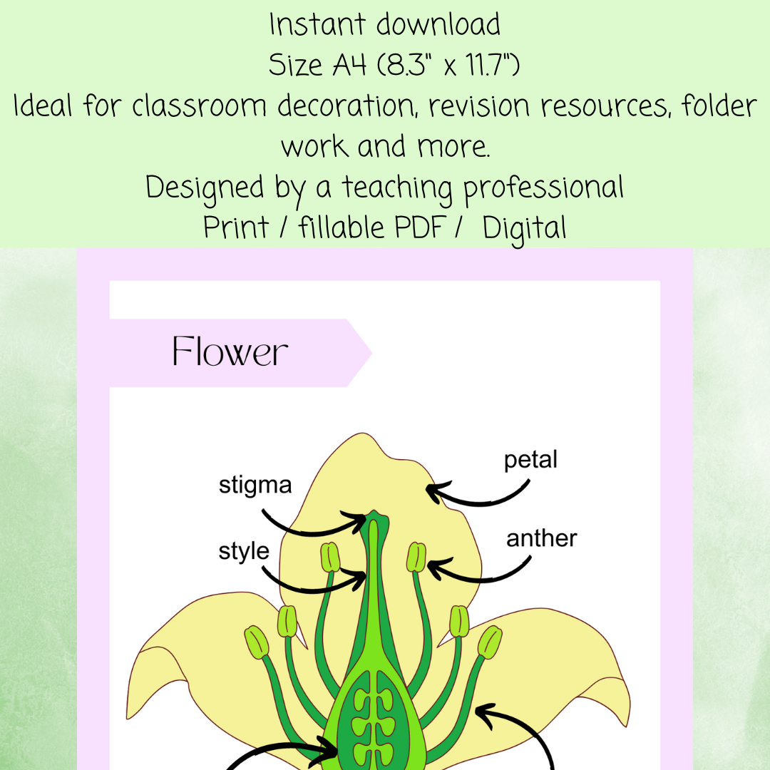 Biology diagram poster bundle