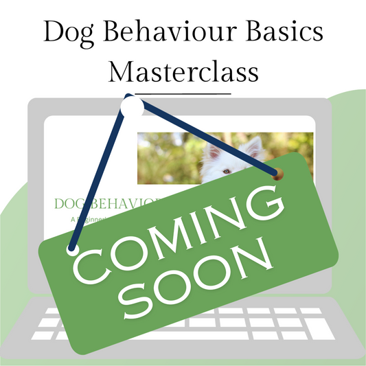 Dog Behaviour Basics Masterclass