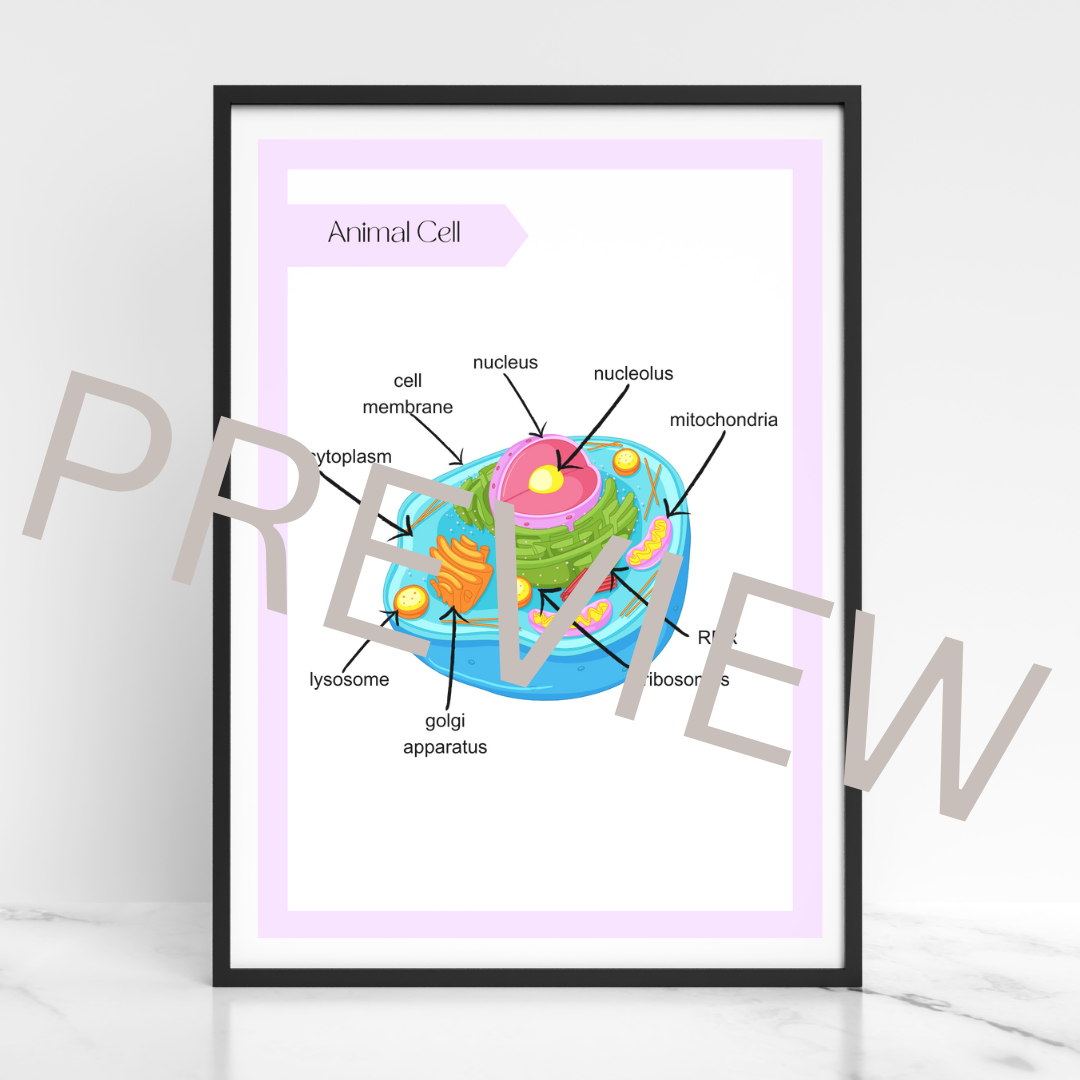 Animal cell poster