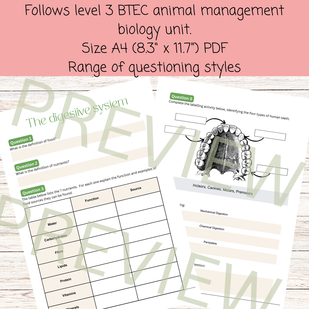 Digestion biology worksheet pack