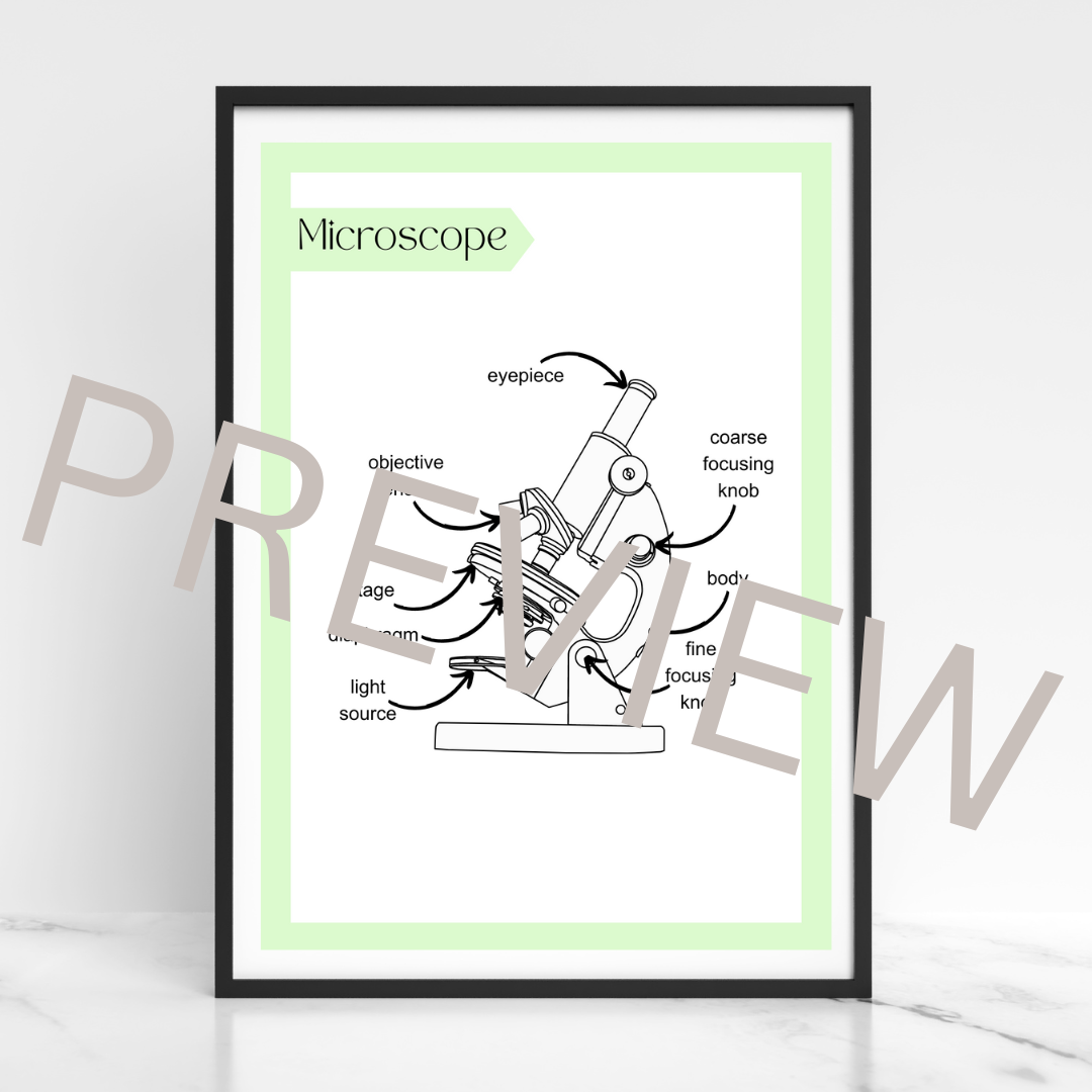 The Microscope Poster Critters Academy the-microscope-poster-critters-academy