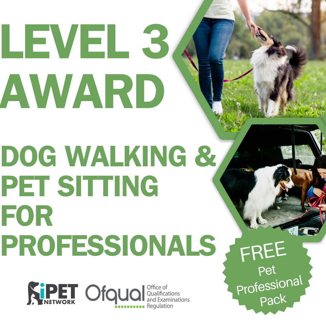 iPET Network Level 3 Award in Dog Walking and Pet Sitting for Professionals