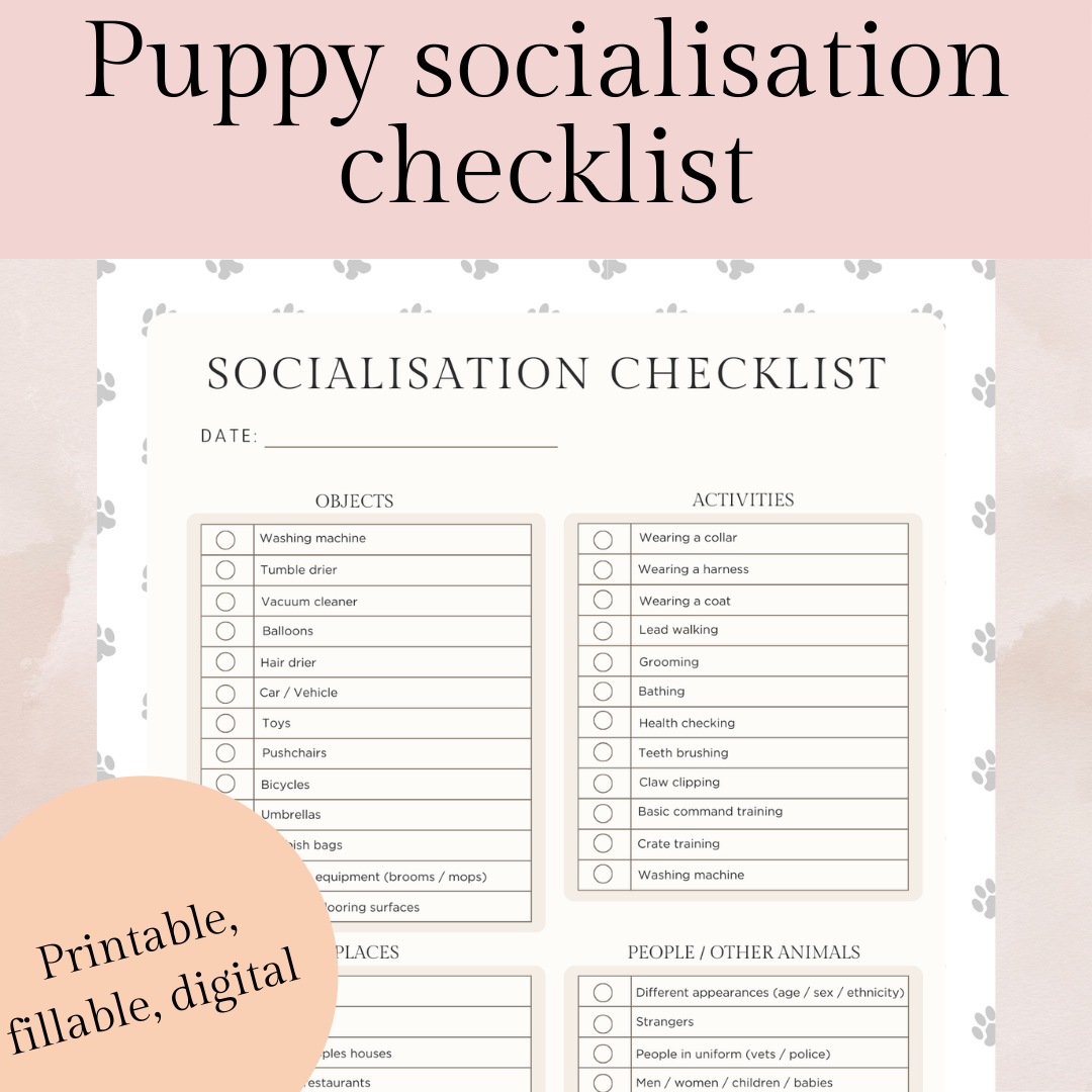Puppy socialisation checklist