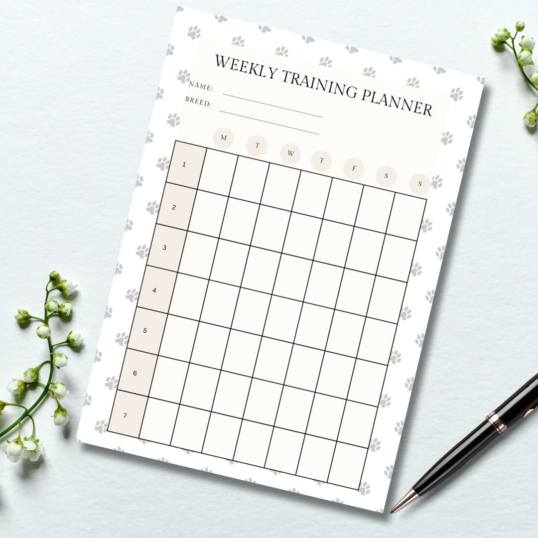 Dog weekly training plan template