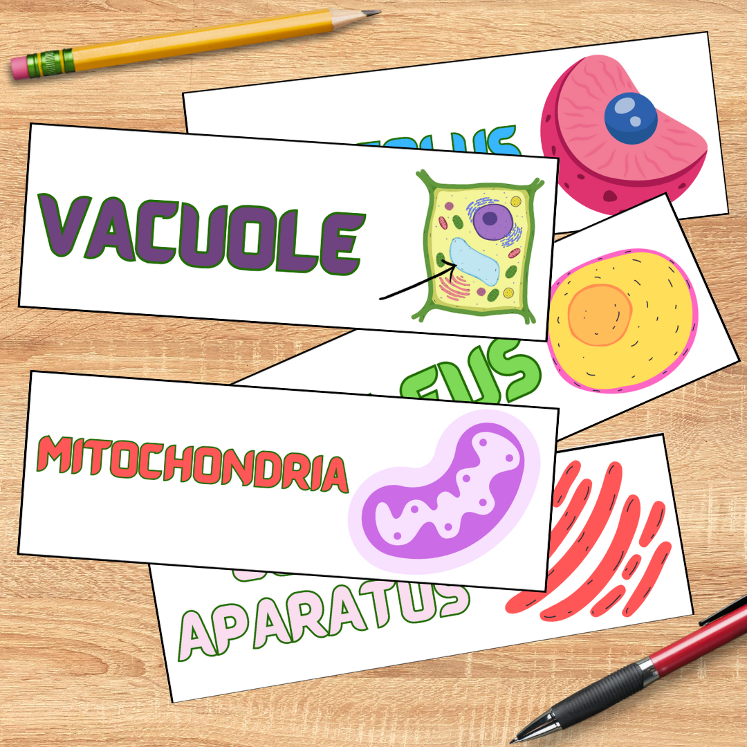 Biology word wall pack