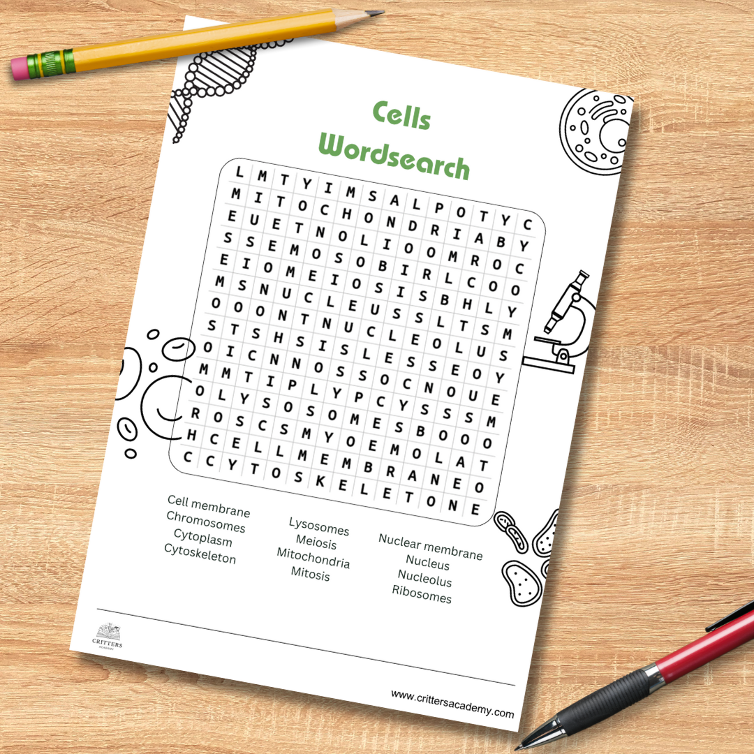 Biology cells, tissues, organs and systems word search pack