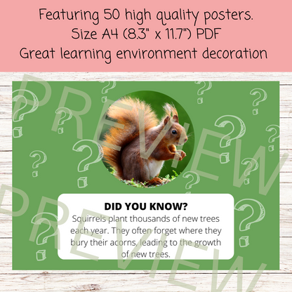 Did you know? 50 animal fact poster bundle