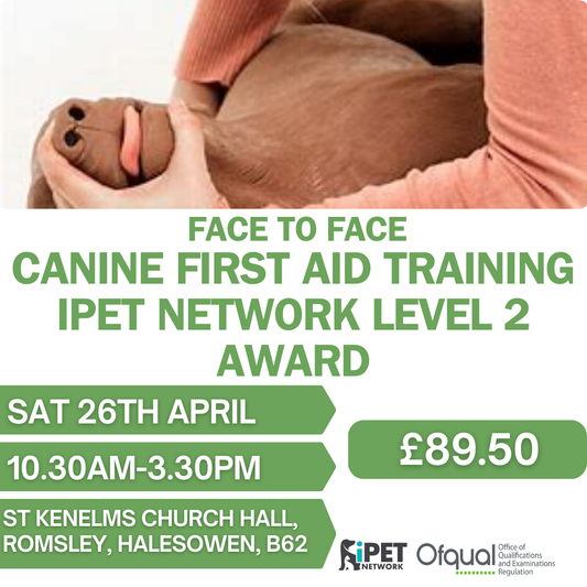 Face to Face iPET Network Level 2 Award Canine First Aid Training Certificate 26th April , Romsley , West Midlands