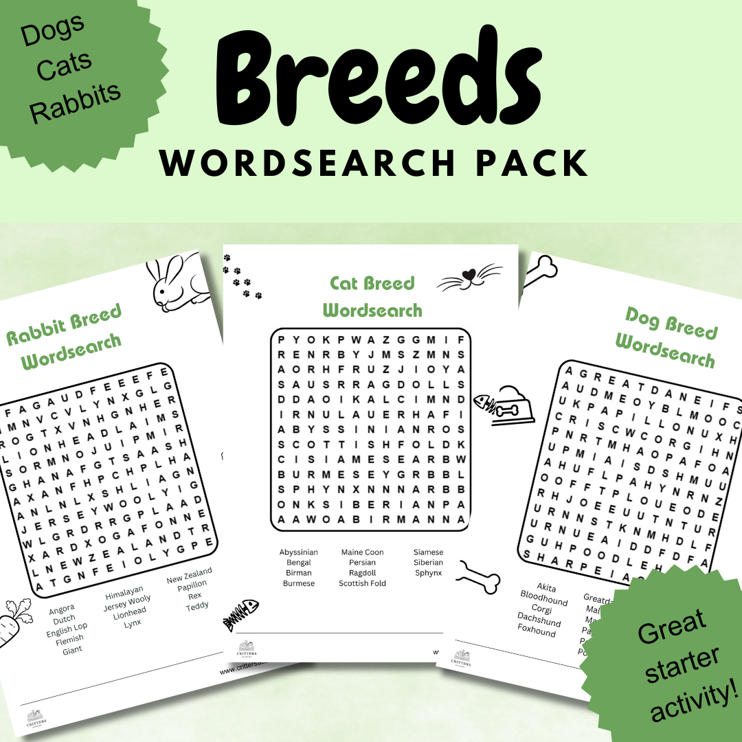 Animal breeds word search pack