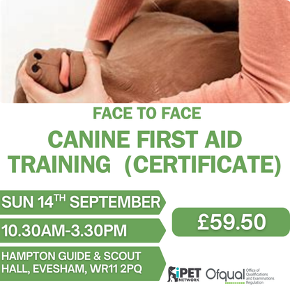Face to Face Canine First Aid Training Certificate 14th September , Evesham , West Midlands
