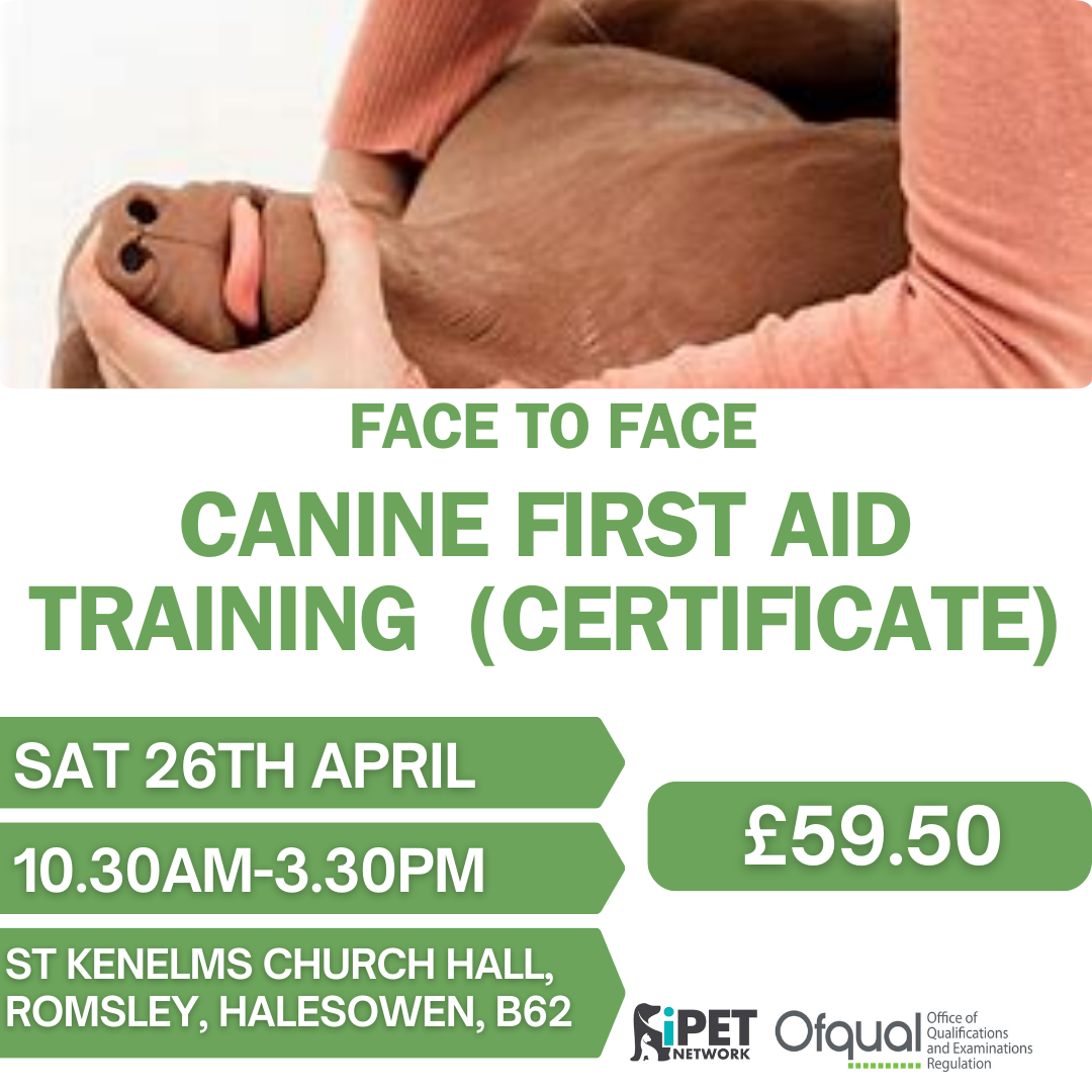 Face to Face Canine First Aid Training Certificate 26th April , Romsley , West Midlands