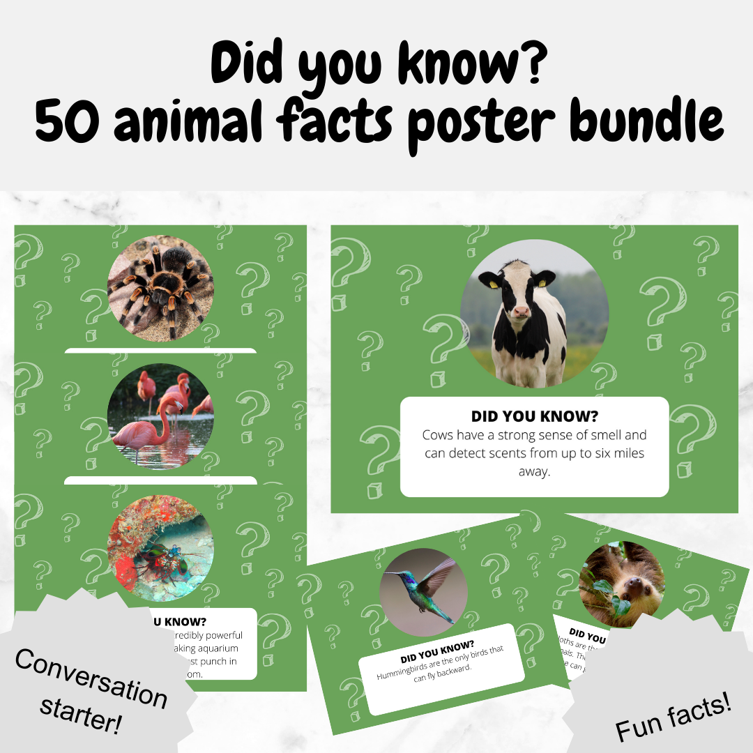 Did you know? 50 animal fact poster bundle