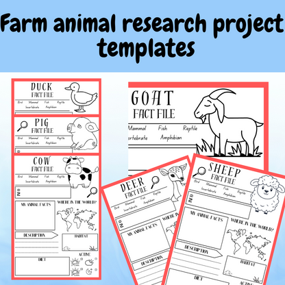 Farm animal research project poster template pack