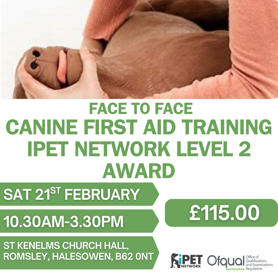 Face to Face iPET Network Level 2 Award Canine First Aid Training 21st February Halesowen , West Midlands