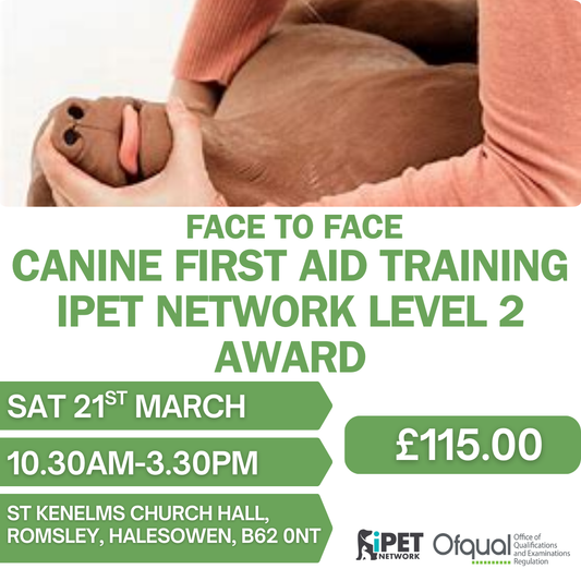 Face to Face iPET Network Level 2 Award Canine First Aid Training 21st March Halesowen , West Midlands