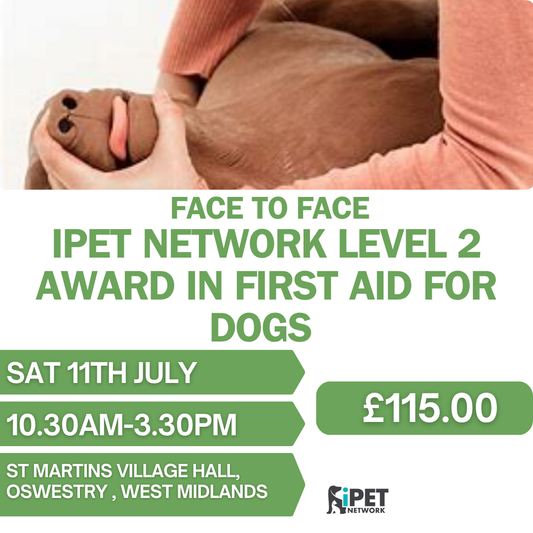 Face to Face iPET Network Level 2 Award Canine First Aid Training 11th July , Oswestry , West midlands