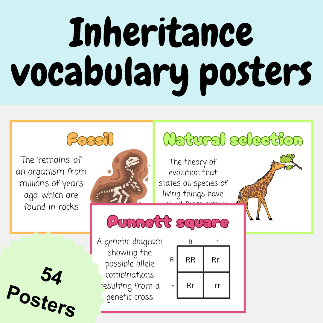 Inheritance, variation and evolution biology posters – Critters Academy