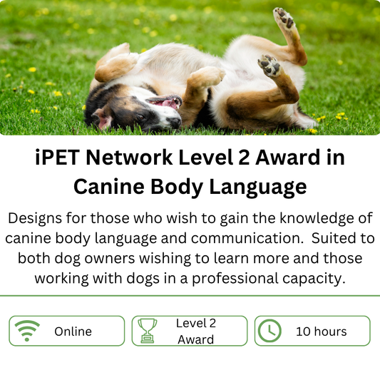 iPET Network Level 2 Award in Canine Body Language