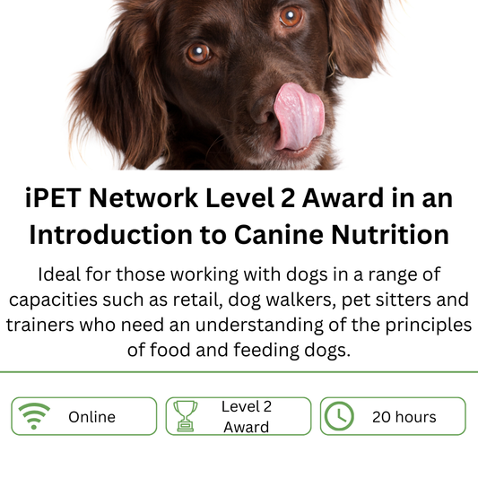 iPET Network Level 2 Award in an Introduction to Canine Nutrition