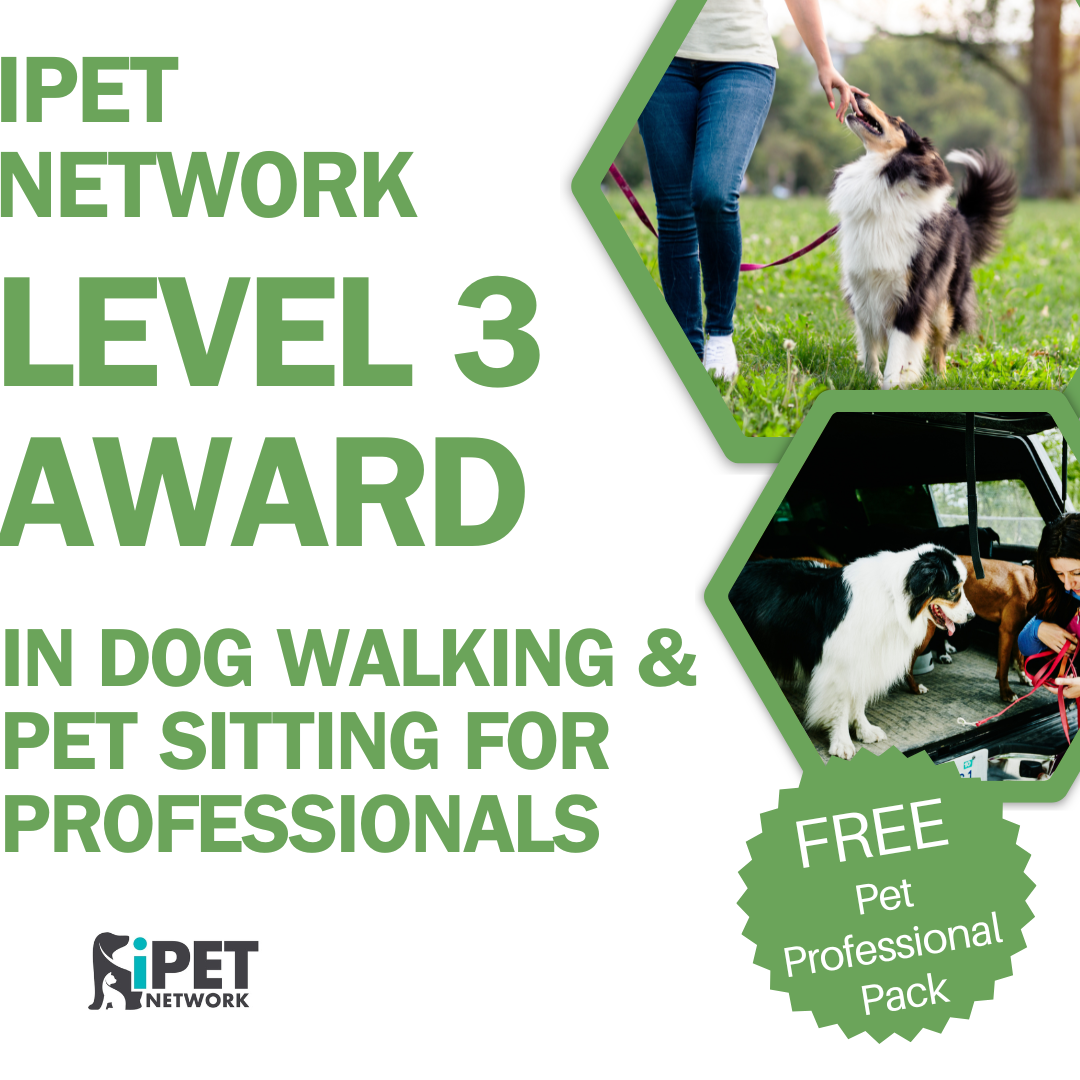 iPET Network Level 3 Award in Dog Walking and Pet Sitting for Professionals