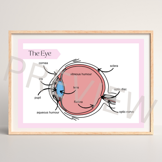 The eye diagram poster